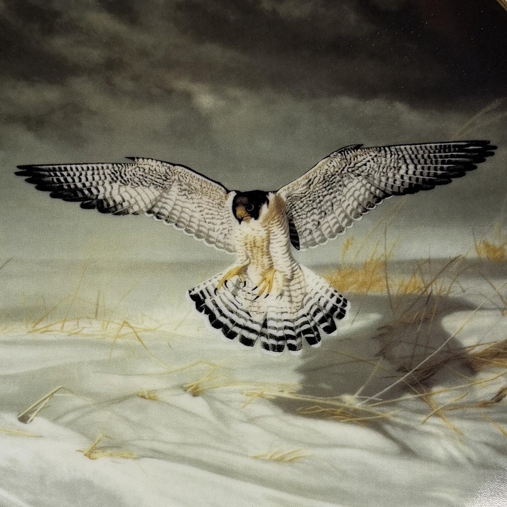 Peregrine Falcon 1991 W‎ S George Fine China Charles Frace Soaring Majesty  COA